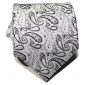 Men's Necktie | Shop latest Tie for Men in India | Silver | AT33